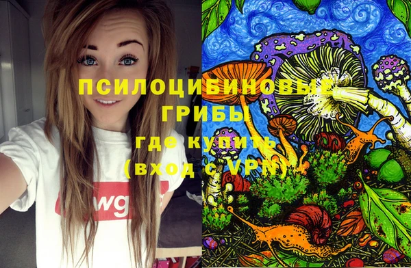 тгк Абинск